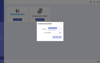 Staff Export Team System