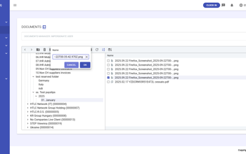 Documents Rename Files