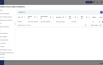 Individual Benefits Table IT