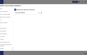 Individual Approvers IT