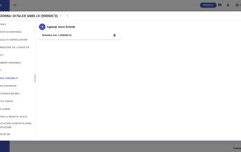 Individual Assigned Companies IT