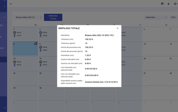 Staff Calendar Month Summary IT