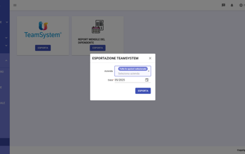 Staff Export Team System IT