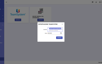 Staff Export Team System IT