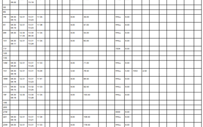Staff Export Monthly Report Output